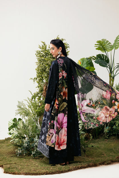 FPK - 3B - Florent Pakistan