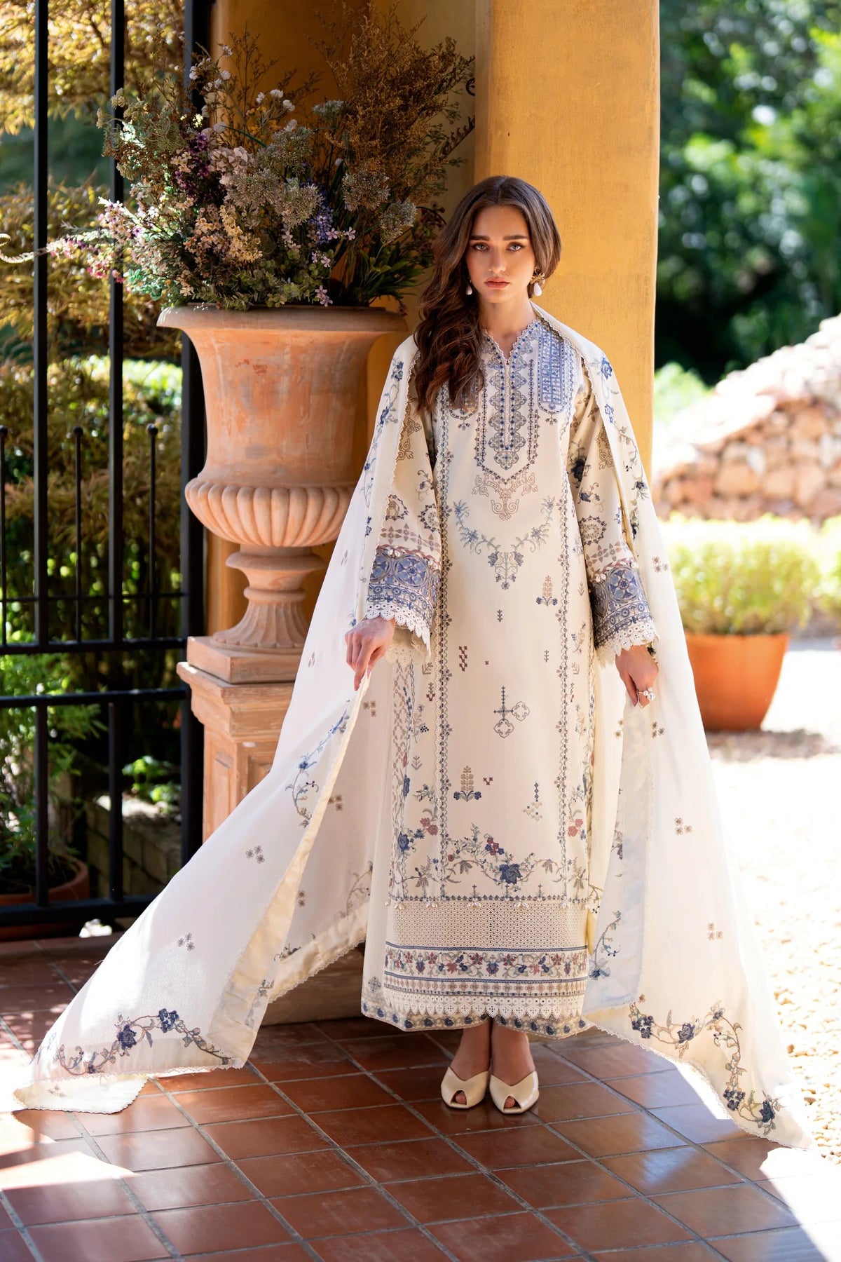 Aster